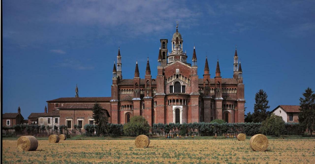 Апартаменты Il Nido Della Cicogna Чертоза-ди-Павия Экстерьер фото